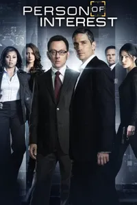 Person of Interest izle